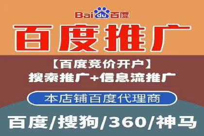实战经验分享：SEO与SEM优化案例精选